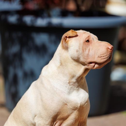 2024-04-30-11-04-52-EOS R6m2-3949