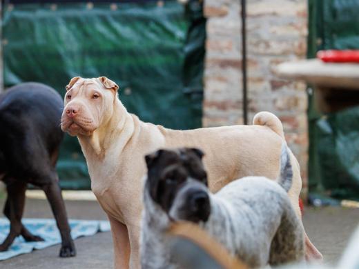 2024-04-30-18-32-50-EOS R6m2-3974