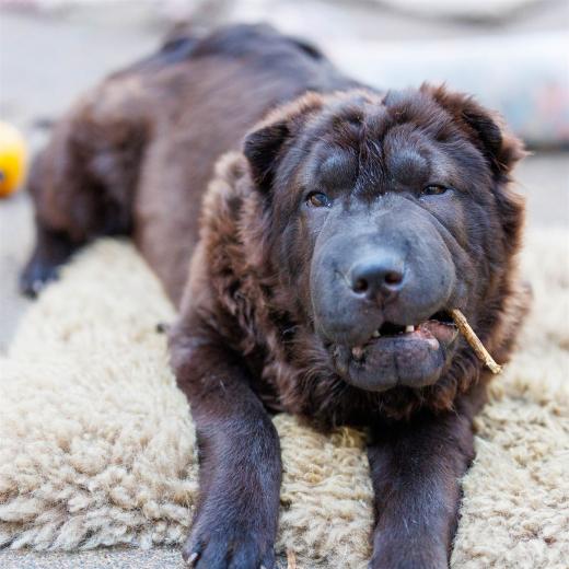 2024-04-30-18-37-29-EOS R6m2-3988