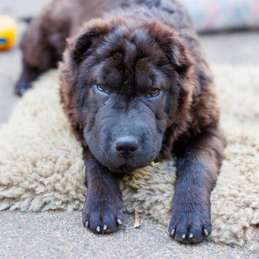 2024-04-30-18-37-32-EOS R6m2-3990