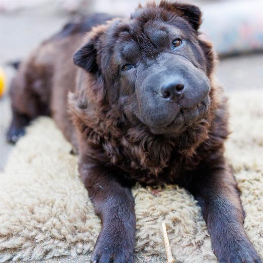 2024-04-30-18-37-53-EOS R6m2-3995