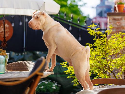 2024-04-30-18-45-01-EOS R6m2-4028