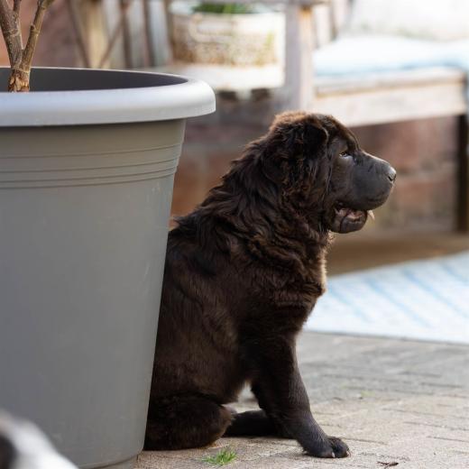 2024-04-30-18-55-59-EOS R6m2-4062-Verbessert-RR