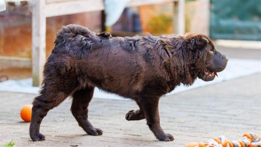 2024-04-30-18-56-01-EOS R6m2-4065-Verbessert-RR