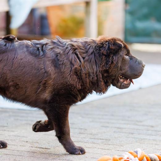 2024-04-30-18-56-01-EOS R6m2-4065-Verbessert-RR