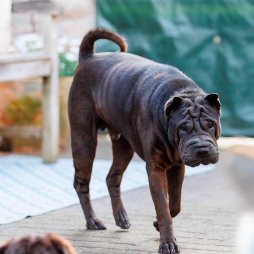 2024-04-30-19-03-37-EOS R6m2-4079-Verbessert-RR