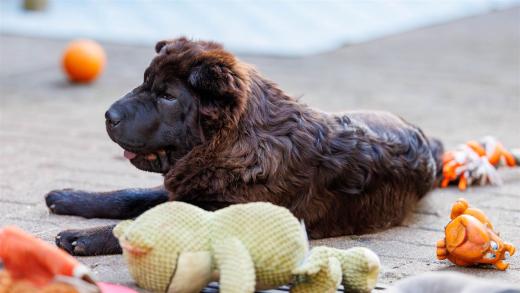 2024-04-30-19-04-36-EOS R6m2-4081-Verbessert-RR