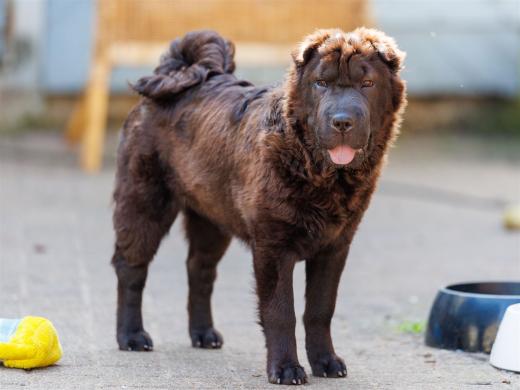 2024-05-01-10-50-04-EOS R6m2-4141