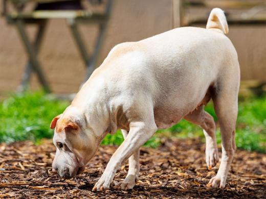 2024-05-01-11-00-55-EOS R6m2-4153