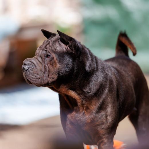 2024-05-01-11-01-31-EOS R6m2-4166-Bearbeitet