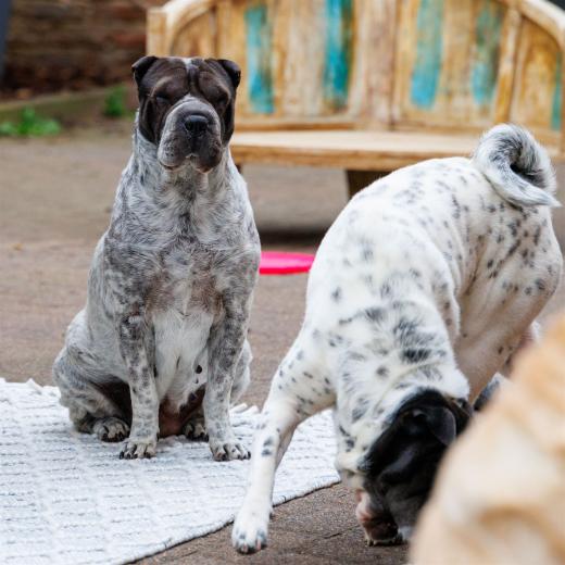 2024-05-03-17-08-13-EOS R7-6469