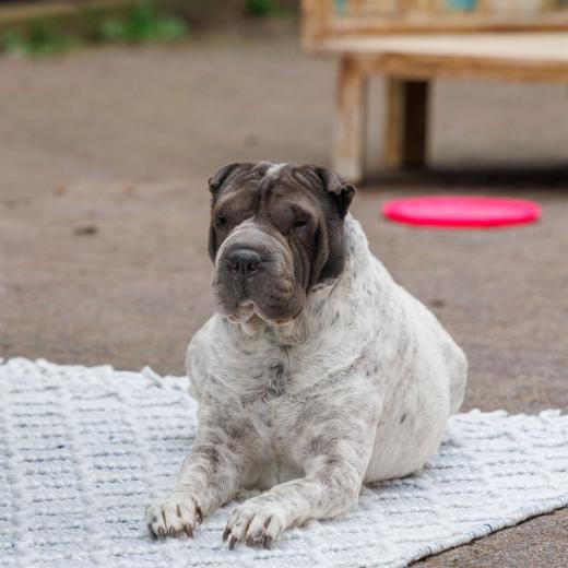 2024-05-03-17-08-44-EOS R7-6472