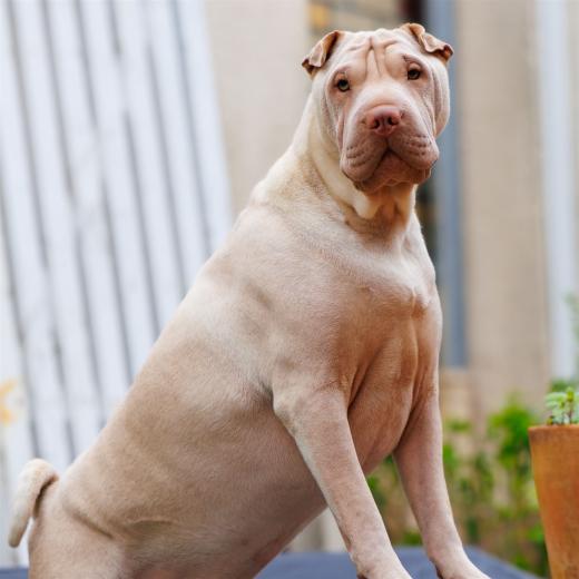 2024-05-03-17-09-26-EOS R7-6480-Verbessert-RR