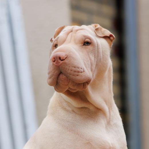 2024-05-03-17-09-28-EOS R7-6482-Verbessert-RR