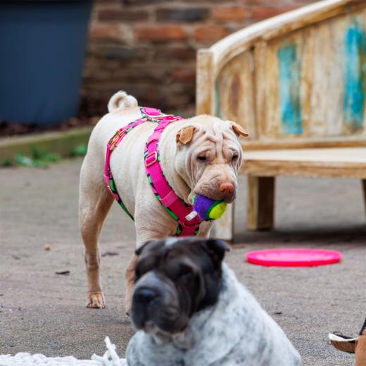 2024-05-03-17-11-44-EOS R7-6484-Verbessert-RR