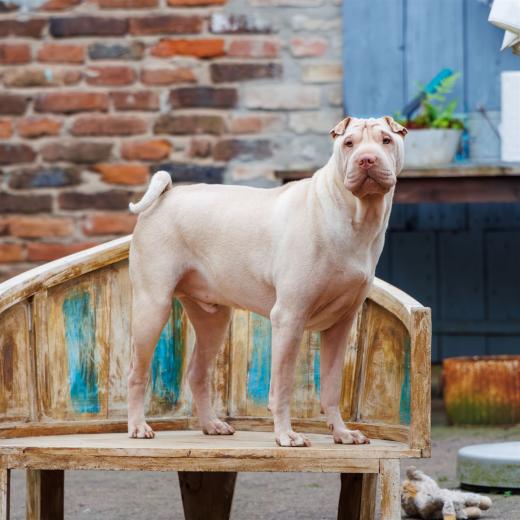 2024-05-03-17-15-47-EOS R7-6492-Verbessert-RR