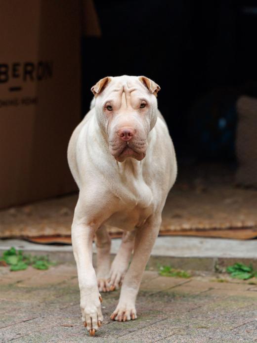 2024-05-04-13-30-26-EOS R6m2-0071