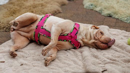 2024-05-04-13-33-32-EOS R6m2-0081