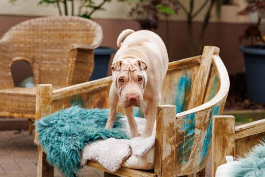 2024-05-04-13-34-54-EOS R6m2-0094