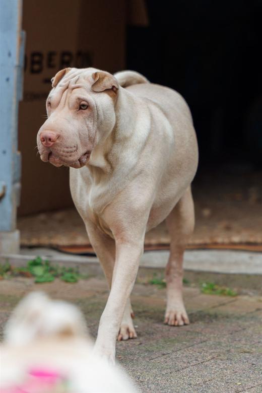 2024-05-04-13-36-29-EOS R6m2-0103