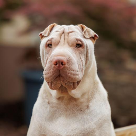 2024-05-04-13-38-36-EOS R6m2-0121