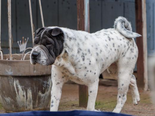 2024-05-04-13-41-02-EOS R6m2-0146-2