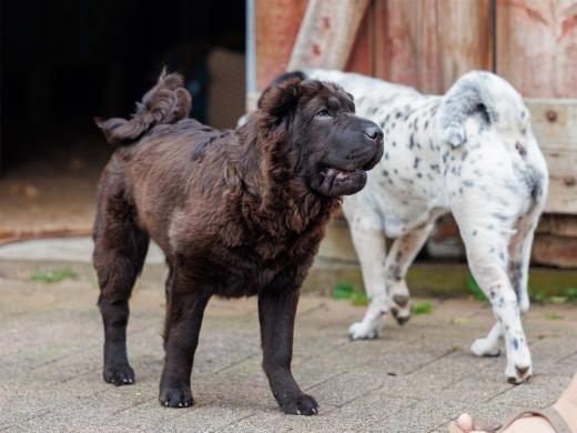 2024-05-04-13-42-37-EOS R6m2-0150