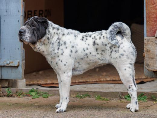 2024-05-04-13-42-42-EOS R6m2-0156