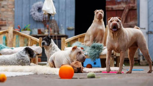 2024-05-04-13-57-10-EOS R6m2-0219