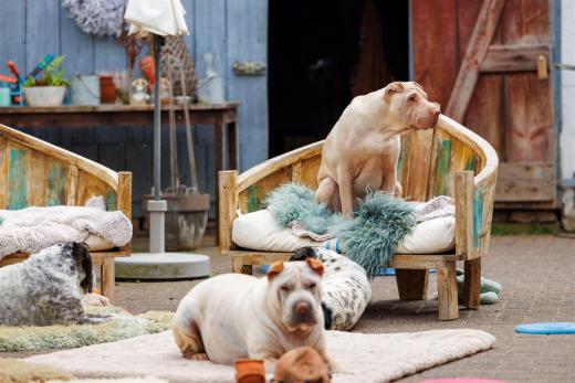 2024-05-04-13-57-44-EOS R6m2-0226