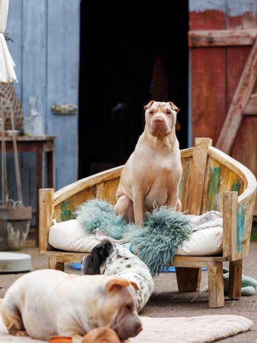 2024-05-04-13-57-49-EOS R6m2-0235