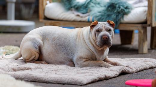 2024-05-04-14-03-26-EOS R6m2-4206