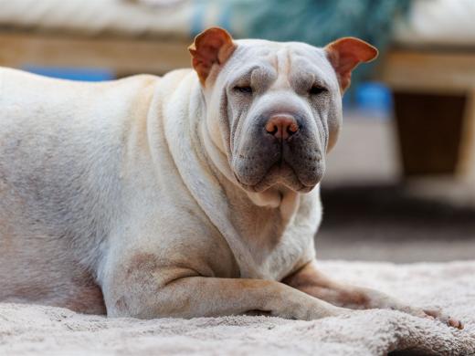 2024-05-04-14-04-15-EOS R6m2-4208