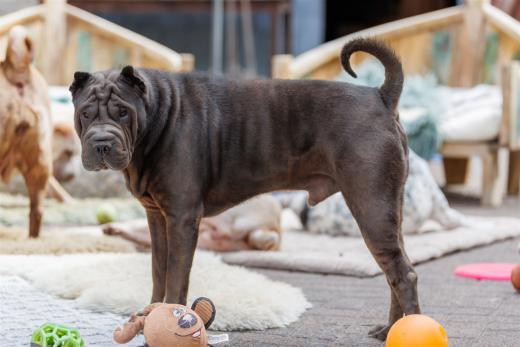 2024-05-04-14-09-10-EOS R6m2-4234