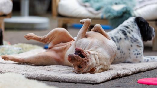 2024-05-04-14-10-10-EOS R6m2-4246