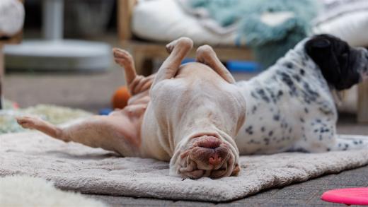 2024-05-04-14-10-12-EOS R6m2-4251