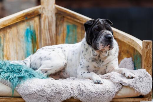 2024-05-04-14-10-37-EOS R6m2-4272