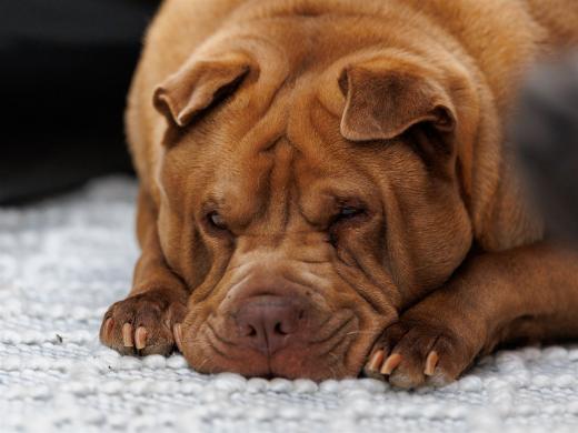 2024-05-04-14-11-36-EOS R6m2-4296