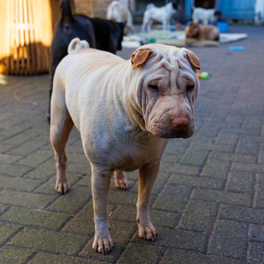 2024-05-08-19-00-26-EOS R7-6508