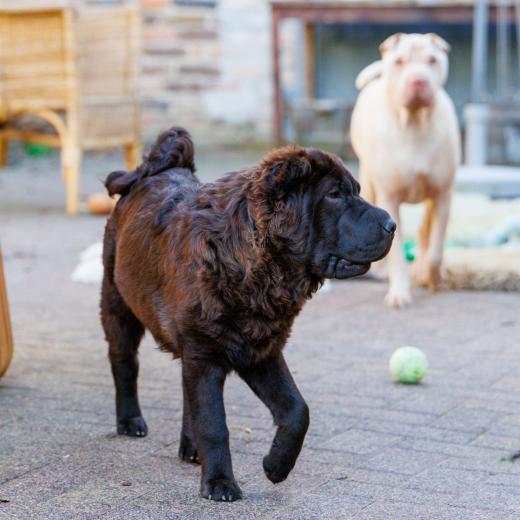 2024-05-08-19-03-02-EOS R7-6514