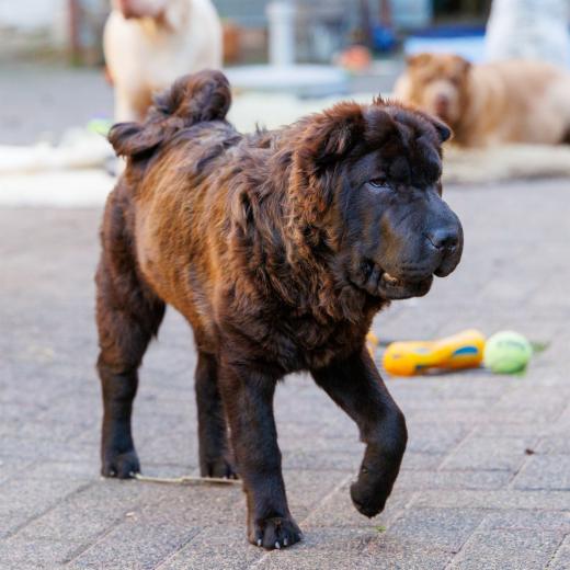 2024-05-08-19-03-05-EOS R7-6517