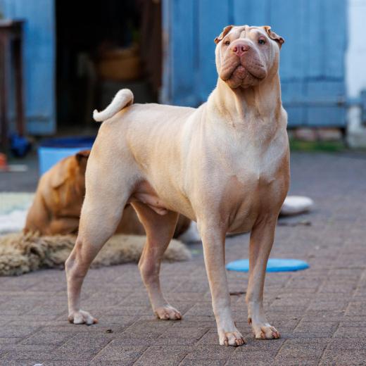 2024-05-08-19-05-51-EOS R7-6520