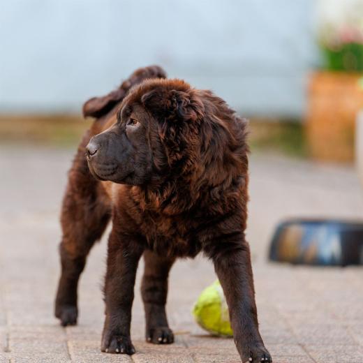 2024-05-08-19-40-42-EOS R6m2-4329