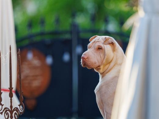 2024-05-08-19-55-55-EOS R6m2-4346