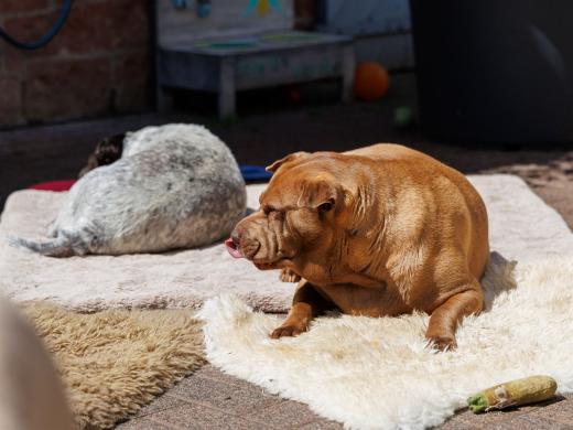 2024-05-09-12-34-01-EOS R6m2-0250_2048px