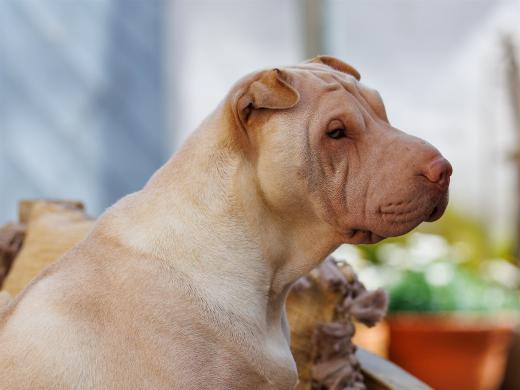 2024-05-09-15-29-01-EOS R6m2-4372_2048px