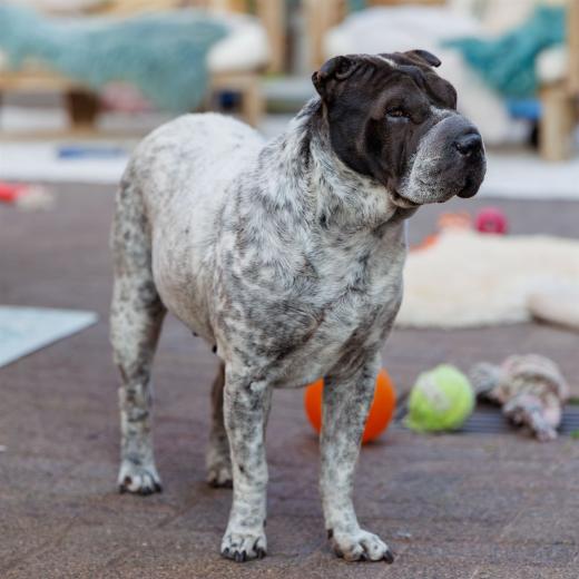 2024-05-10-19-46-18-EOS R6m2-0272-Verbessert-RR_2048px