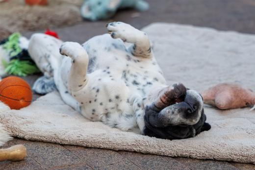 2024-05-10-20-42-23-EOS R6m2-0363-Verbessert-RR_2048px