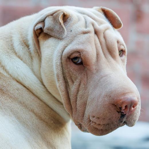 2024-05-14-20-24-11-EOS R7-6628-Verbessert-RR