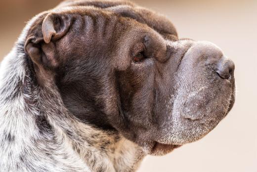 2024-05-15-19-19-51-EOS R6m2-4471-Verbessert-RR